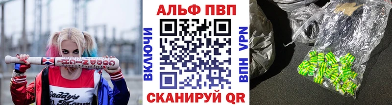 где найти   Сусуман  Alfa_PVP СК 
